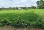 পটিয়া বাইপাসের সাথে সরাসরি সংযুক্ত ১৩ ফুট রাস্তার পাশে জমি বিক্রি