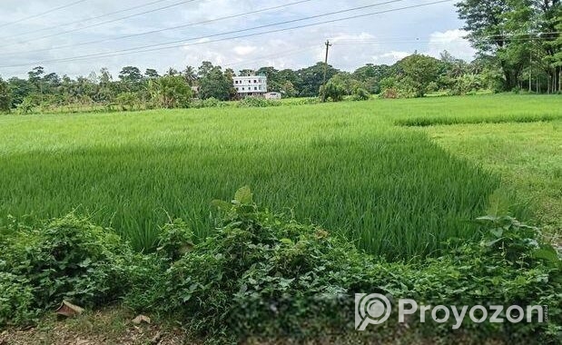 পটিয়া বাইপাসের সাথে সরাসরি সংযুক্ত ১৩ ফুট রাস্তার পাশে জমি বিক্রি