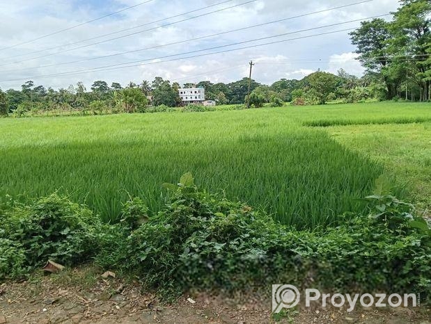 পটিয়া বাইপাসের সাথে সরাসরি সংযুক্ত ১৩ ফুট রাস্তার পাশে জমি বিক্রি