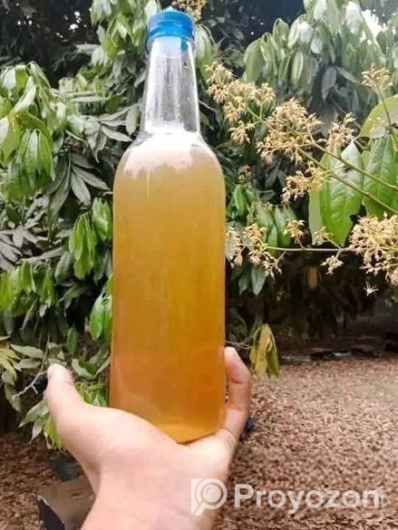 সুন্দরবনের খলিশা ফুলের মধু