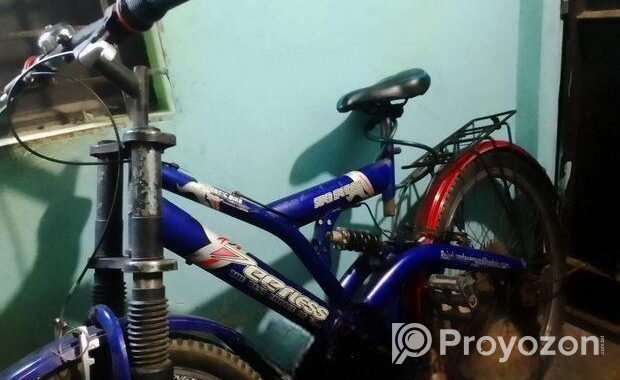 Peerless Bicycle for sale