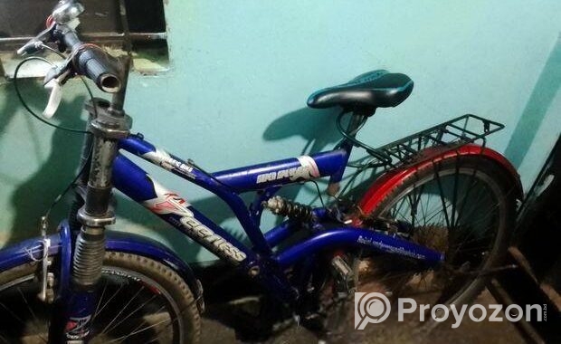 Peerless Bicycle for sale