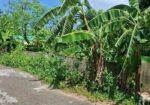 দক্ষিণ মুখে ৩ কাঠা প্লট বিক্রয় সেক্টর নং ২৩ রাজউক পূর্বাচল