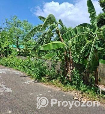 দক্ষিণ মুখে ৩ কাঠা প্লট বিক্রয় সেক্টর নং ২৩ রাজউক পূর্বাচল
