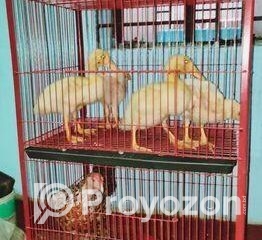 fitted-2025-10-19T122134.392_2025-10-19_12-22-32