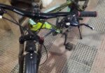 Phoenix Cycle