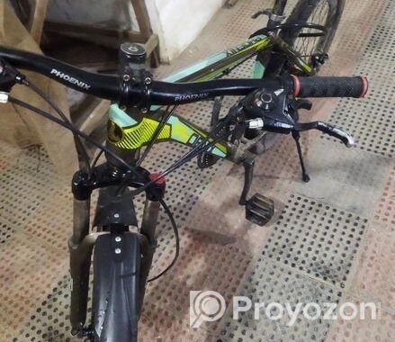 Phoenix Cycle