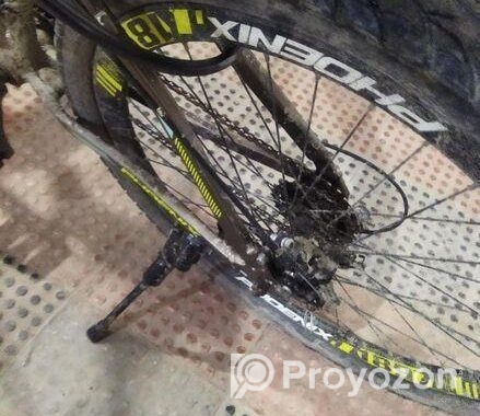 Phoenix Cycle