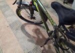 Phoenix Cycle