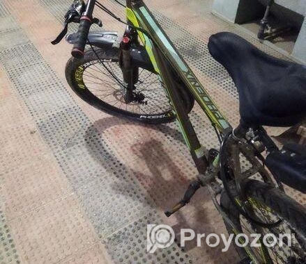 Phoenix Cycle