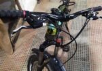 Phoenix Cycle