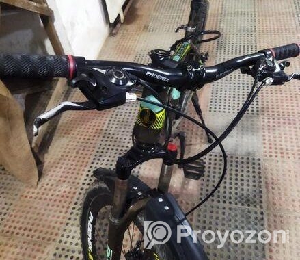 Phoenix Cycle