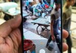 Vivo Y21 (Used)