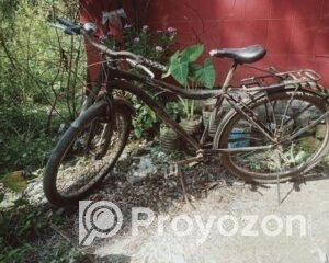 fitted-2025-10-23T113157.776_2025-10-23_11-32-45