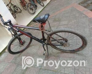 fitted-2025-10-23T114246.037_2025-10-23_11-44-28