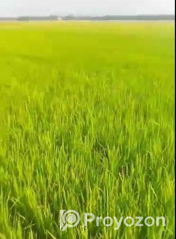 হাইওয়ের পাশে জমি বিক্রয়