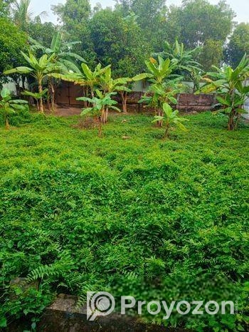 শীঘ্রই বিক্রয়ঃ গাজীপুরের উন্নয়নশীল শিল্পাঞ্চলে বাড়িসহ ১০ কাঠা জম