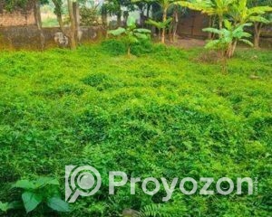 fitted-2025-10-23T164841.616_2025-10-23_16-50-02