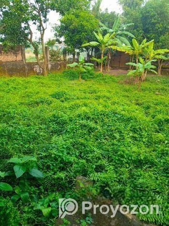 শীঘ্রই বিক্রয়ঃ গাজীপুরের উন্নয়নশীল শিল্পাঞ্চলে বাড়িসহ ১০ কাঠা জম