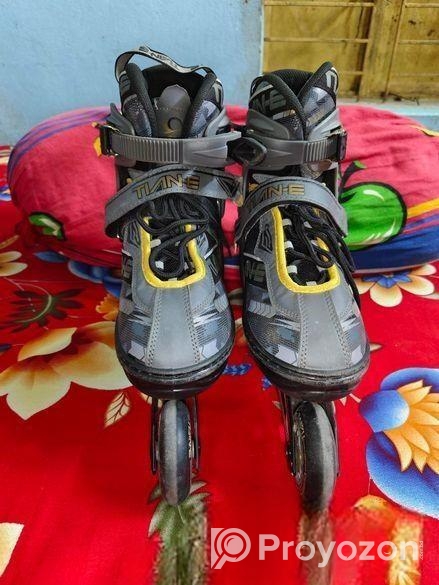 স্কেটিং সু