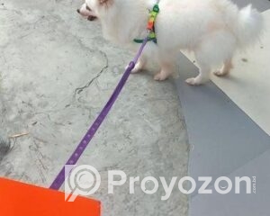 fitted-2025-10-25T130724.386_2025-10-25_13-08-16