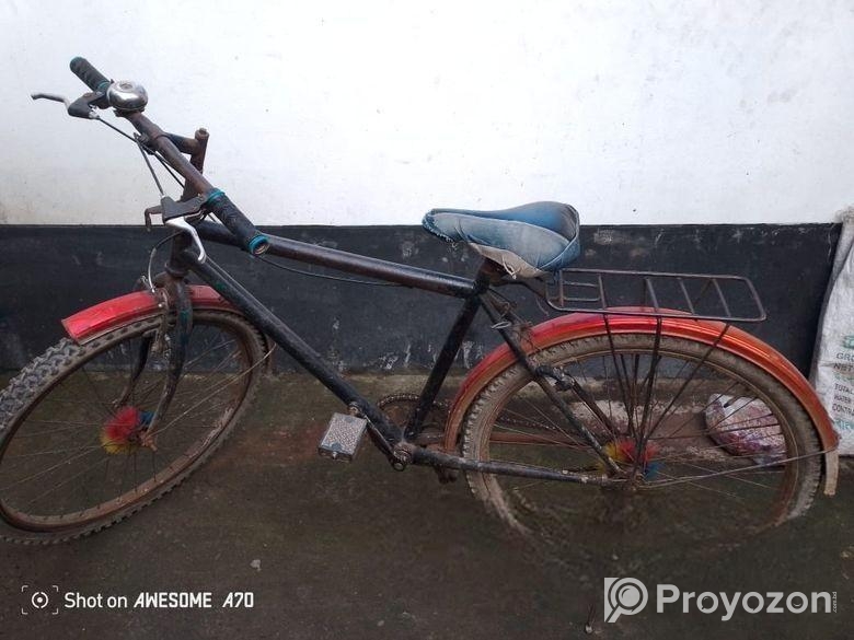 Bicycle Sale