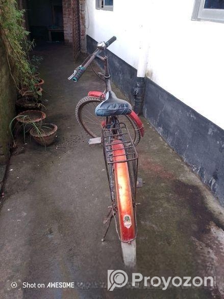 Bicycle Sale