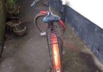 Bicycle Sale