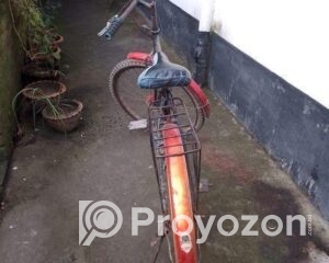 fitted-2025-10-26T111705.160_2025-10-26_11-19-02