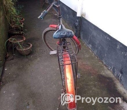 Bicycle Sale