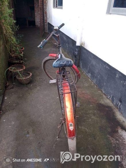 Bicycle Sale
