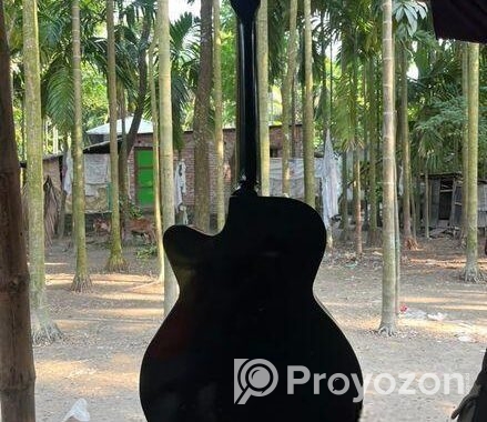 Guitar For Sale
