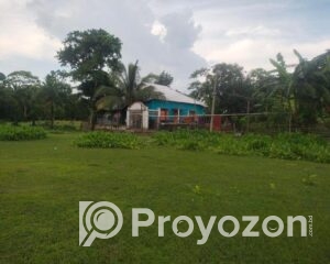 fitted-2025-10-27T115024.358_2025-10-27_11-51-51