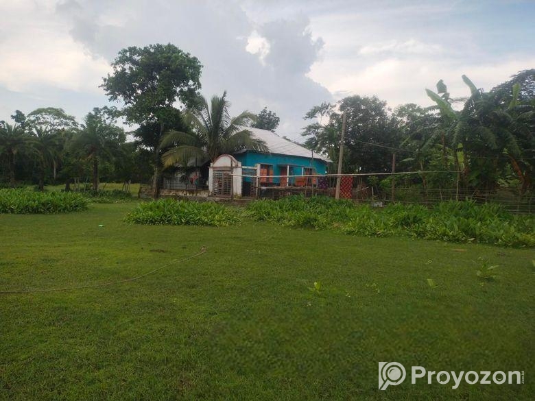 জরুরী ভিত্তিতে বাড়িটি বিক্রি হবে