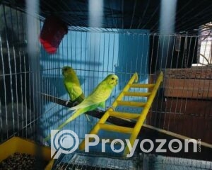 fitted-2025-10-28T103236.003_2025-10-28_10-33-31