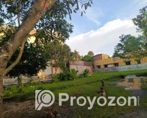 fitted-2025-10-28T114646.681_2025-10-28_11-47-33