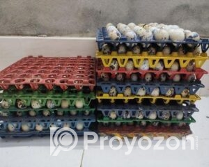 fitted-2025-10-29T115241.420_2025-10-29_11-53-15