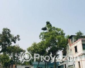 fitted-2025-10-30T100315.867_2025-10-30_10-05-02