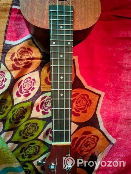 গিটার বিক্রয় হবে