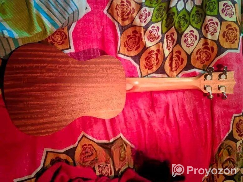 গিটার বিক্রয় হবে