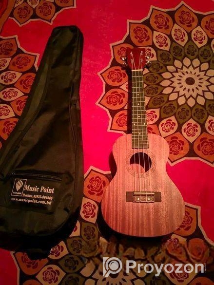 গিটার বিক্রয় হবে