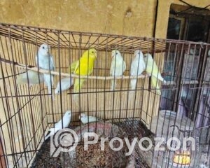 fitted-2025-10-30T122025.739_2025-10-30_12-21-01