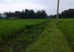 জমি বিক্রয়