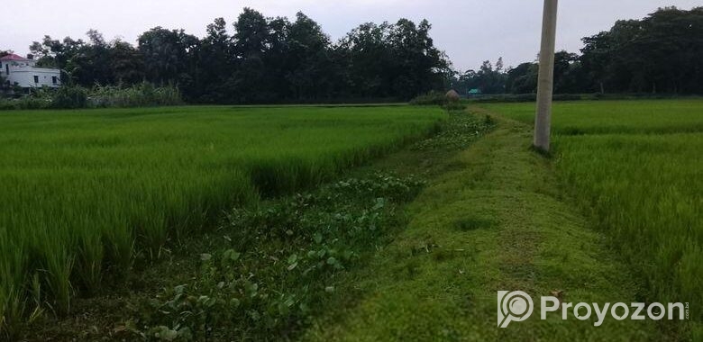 জমি বিক্রয়