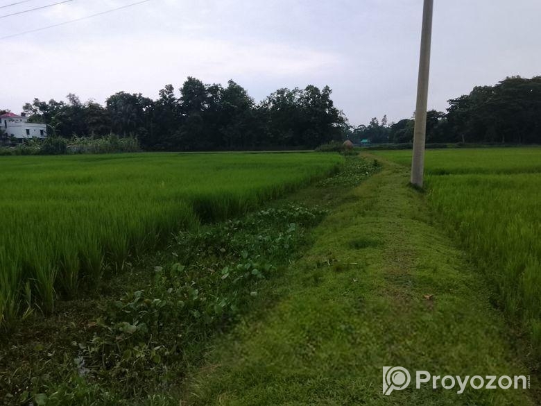 জমি বিক্রয়