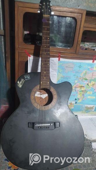 এই গিটার টি বিক্রি করা হবে
