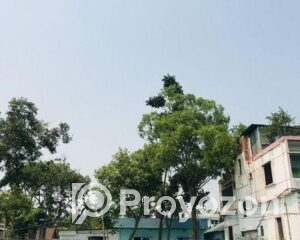 fitted-20_2025-10-27_22-00-52