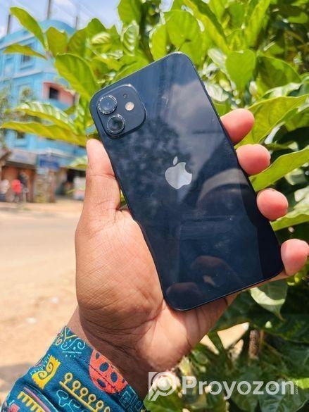 Apple iPhone 12 (Used)