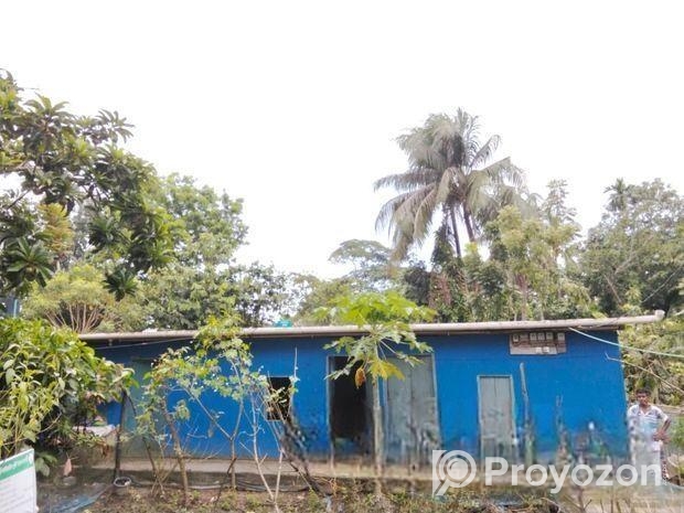 টিনশেড বাড়ি বিক্রয়