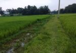 জমি বিক্রয়